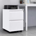 2-Drawer Locking Mobile File Cabinet with 5 Casters